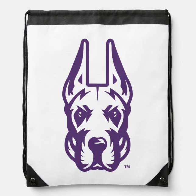 University at Albany Great Dane Mascot Head Drawstring Bag (Front)