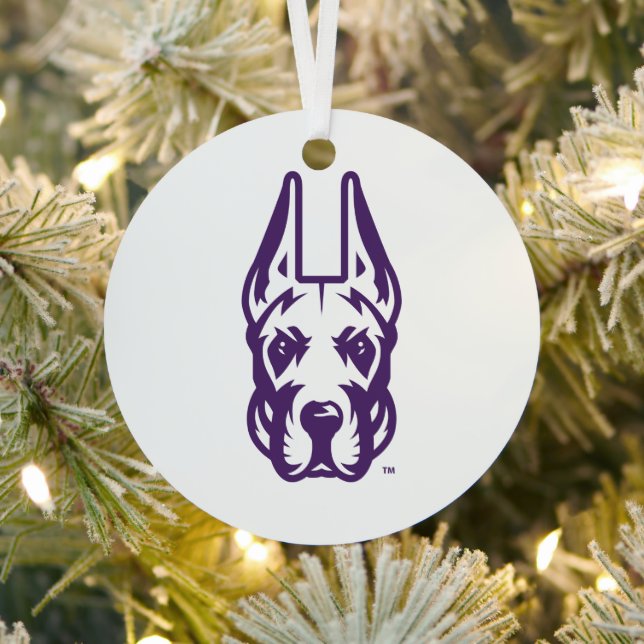 University at Albany Great Dane Mascot Head Metal Ornament (Insitu)