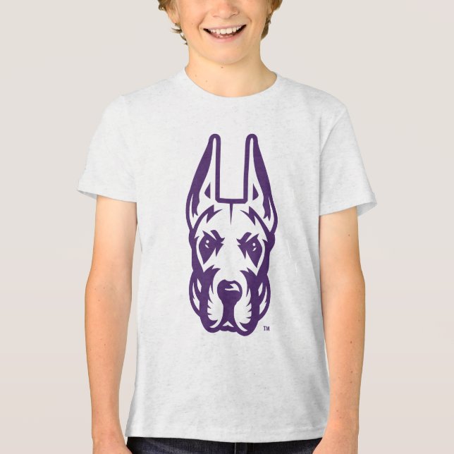 University at Albany Great Dane Mascot Head Tri-Blend Shirt (Front)
