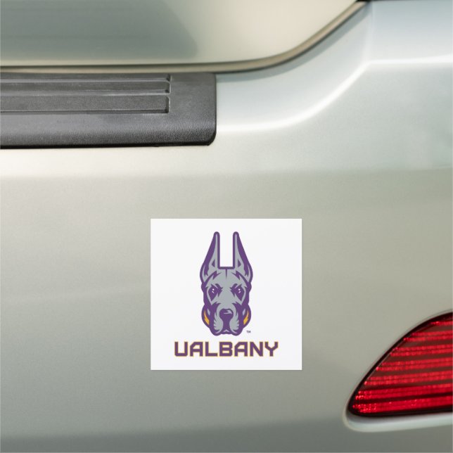 University at Albany Great Danes Car Magnet (In Situ)