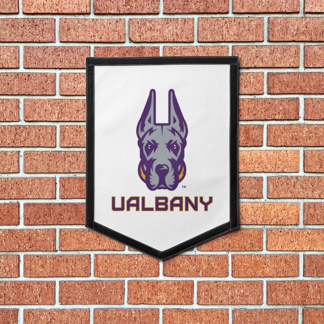 University at Albany Great Danes Pennant (Insitu 1)