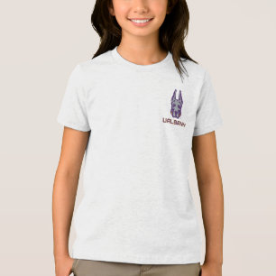 University at Albany Great Danes Tri-Blend Shirt