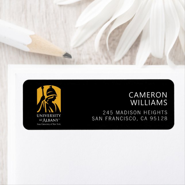 University at Albany Iconic Logo Label (Insitu)