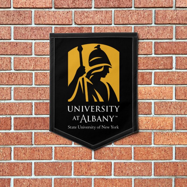University at Albany Iconic Logo Pennant (Insitu 1)