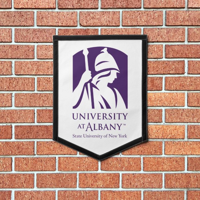 University at Albany Iconic Logo Pennant (Insitu 1)