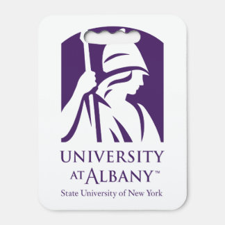 University at Albany Iconic Logo Seat Cushion