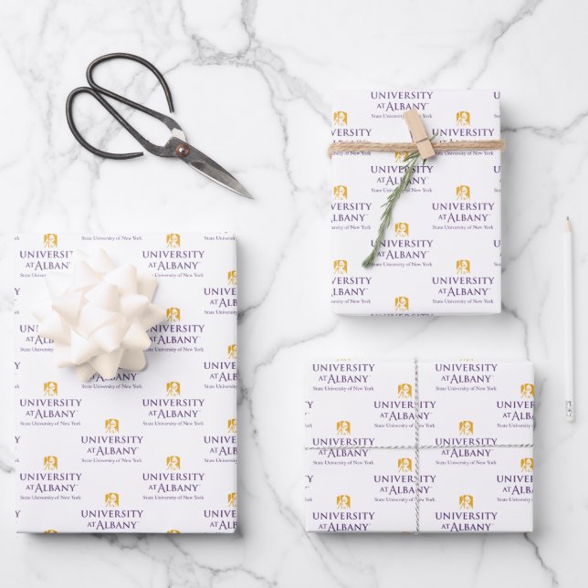 University at Albany Iconic Logo Wrapping Paper Sheets (Front)
