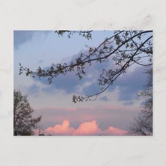 University City Goodwill Postcard