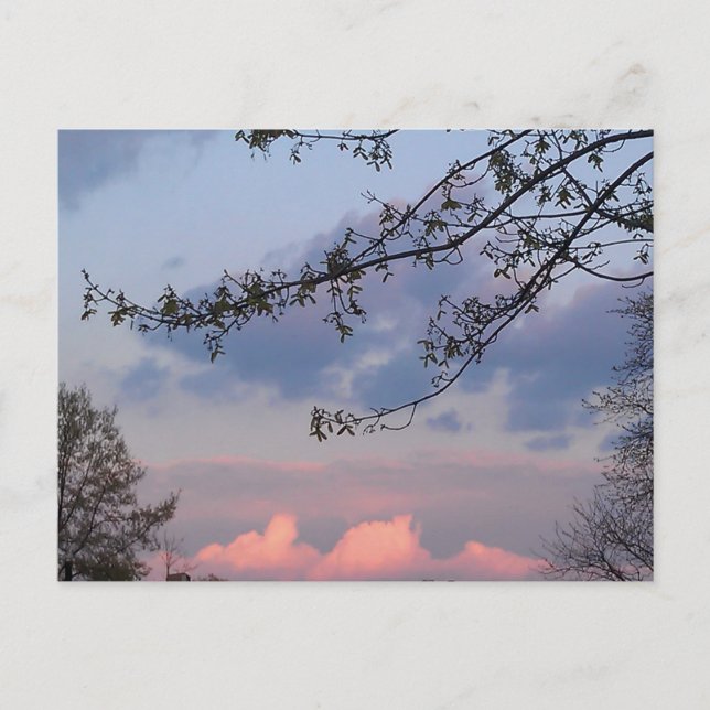 University City Goodwill Postcard (Front)