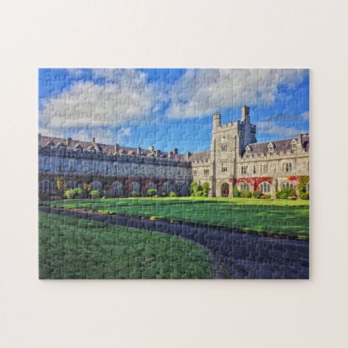 University College Cork Ireland Puzzle