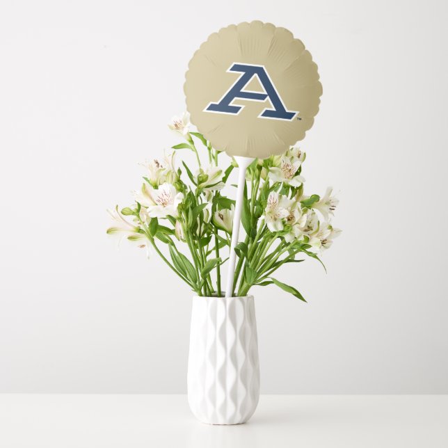 University of Akron | A Balloon (Vase)