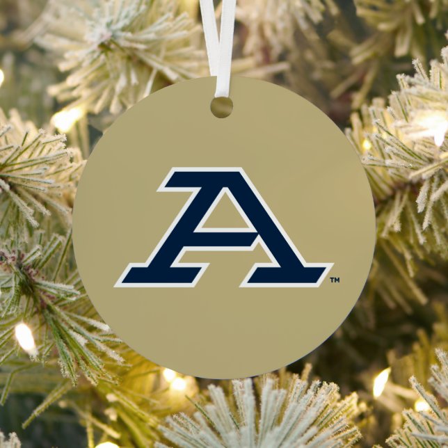 University of Akron | A Metal Ornament (Insitu)