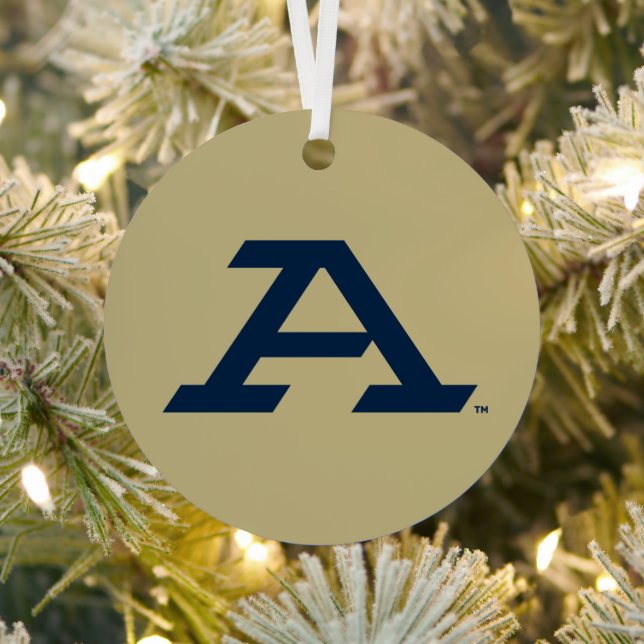 University of Akron | A Metal Ornament (Insitu)