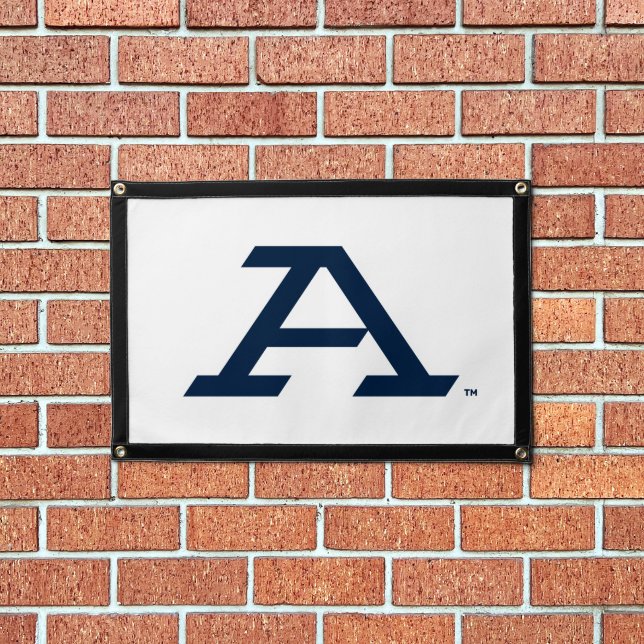 University of Akron | A Pennant (Insitu 1)