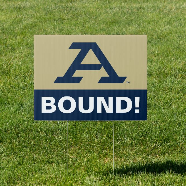 University of Akron | A Sign (Insitu)