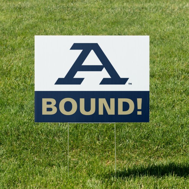 University of Akron | A Sign (Insitu)