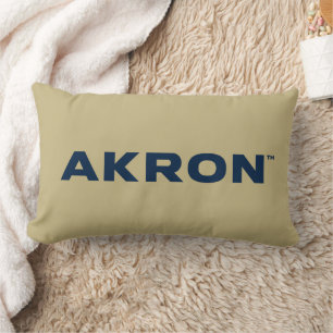 University of Akron Akron Lumbar Pillow
