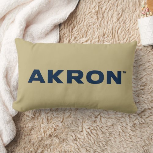 University of Akron  Akron Lumbar Pillow