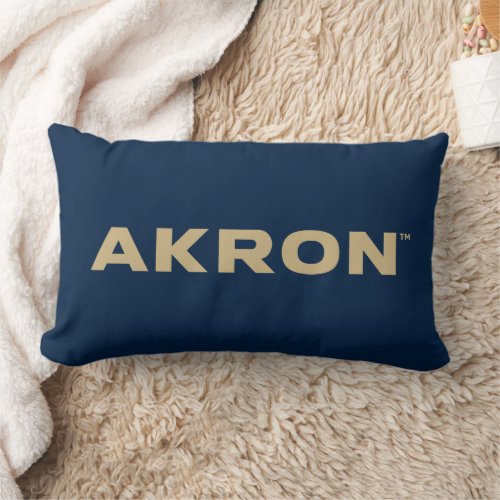 University of Akron  Akron Lumbar Pillow