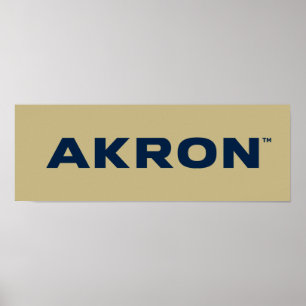 University of Akron   Akron Poster