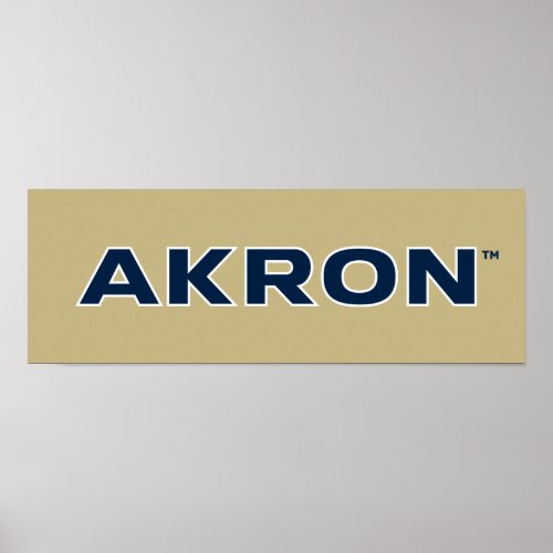 University of Akron  Akron Poster