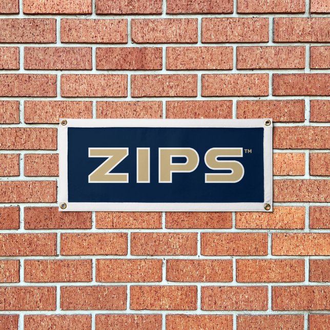 University of Akron | Zips Pennant (Insitu 1)