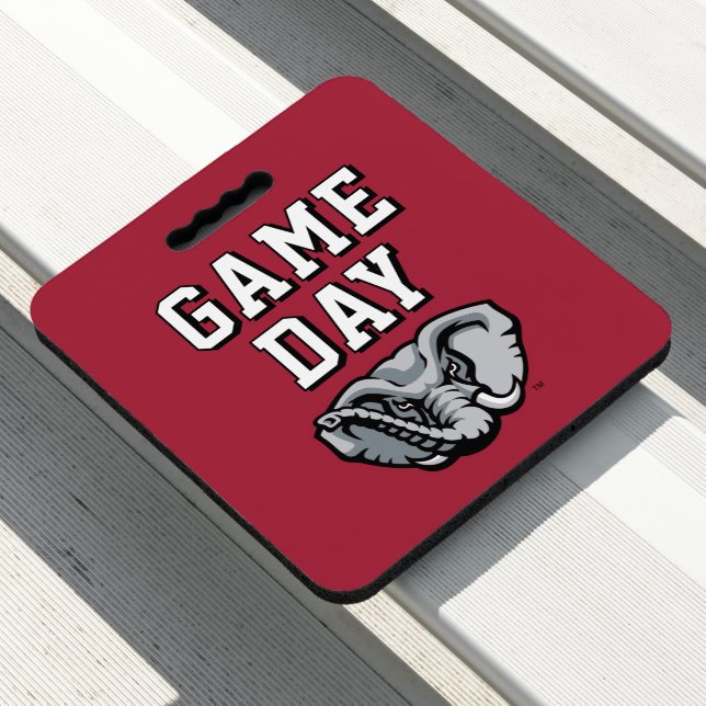 University of Alabama Game Day Seat Cushion (In Situ)