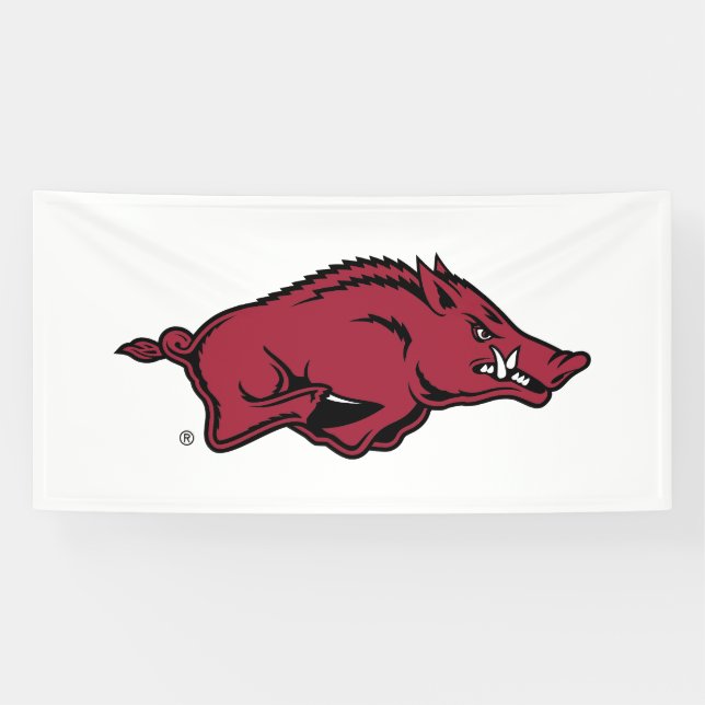 University of Arkansas Razorbacks Logo Banner (Horizontal)