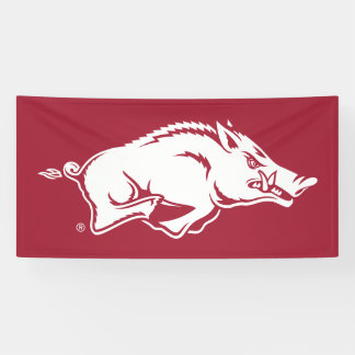 University of Arkansas Razorbacks Logo Banner