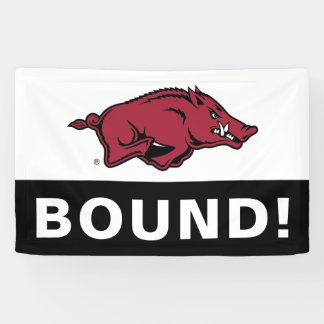 University of Arkansas Razorbacks Logo Banner