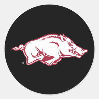 University of Arkansas Razorbacks Logo Classic Round Sticker