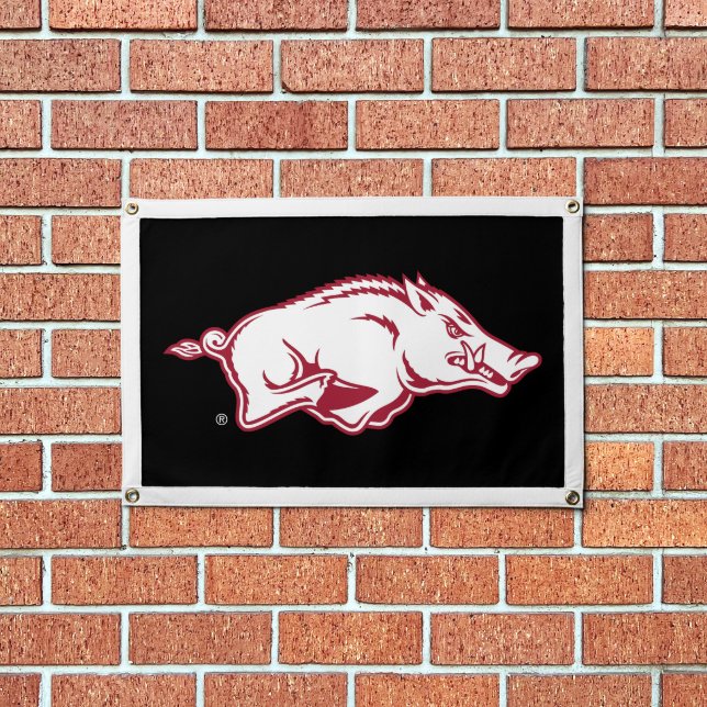 University of Arkansas Razorbacks Logo Pennant (Insitu 1)