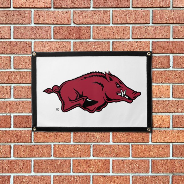 University of Arkansas Razorbacks Logo Pennant (Insitu 1)