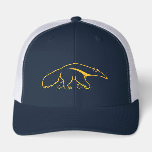 University of California, Irvine Anteater