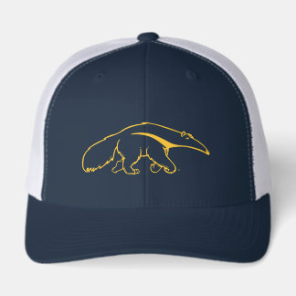 University of California, Irvine Anteater