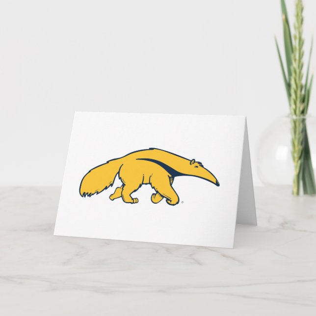 University of California, Irvine Anteater Card (Front)