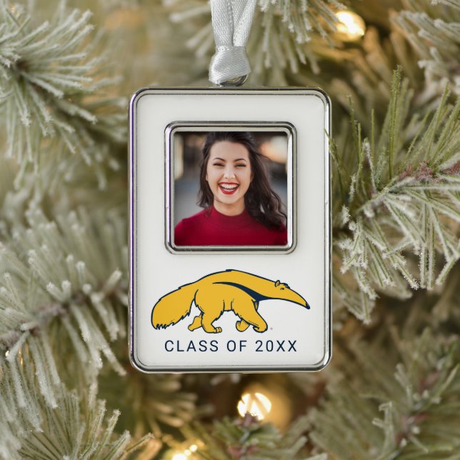 University of California, Irvine Anteater Christmas Ornament (Tree)
