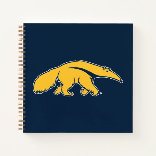 University of California Irvine Anteater Notebook