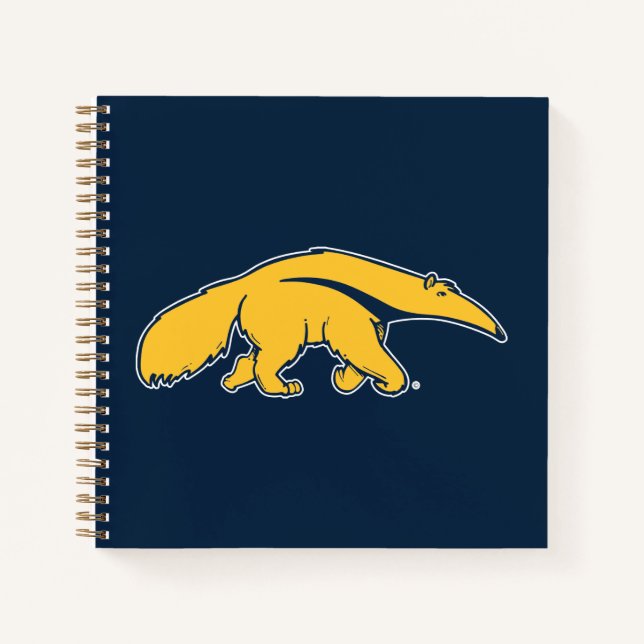 University of California, Irvine Anteater Notebook (Front)