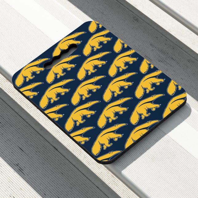 University of California, Irvine Anteater Seat Cushion (In Situ)
