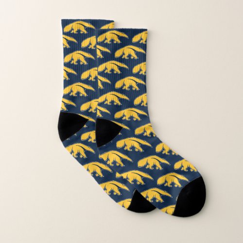University of California Irvine Anteater Socks