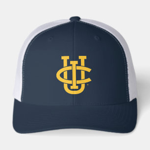 University of California, Irvine Logo