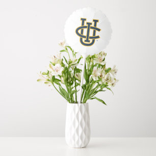 University of California, Irvine Logo Balloon