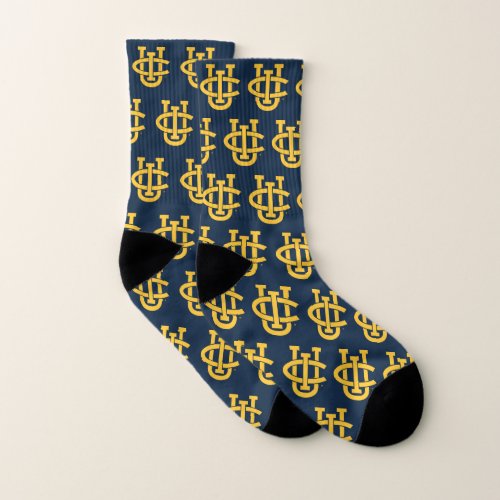 University of California Irvine Logo Socks