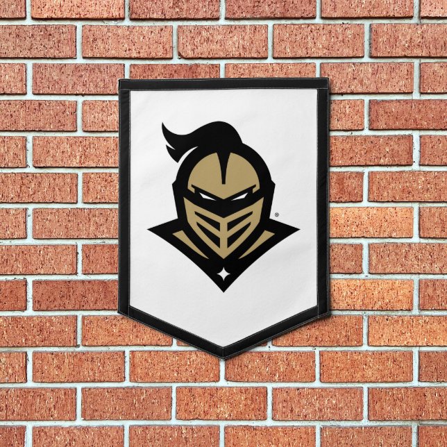University of Central Florida UCF Knights Pennant (Insitu 1)