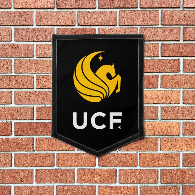 University of Central Florida UCF Pegasus Logo Pennant (Insitu 1)