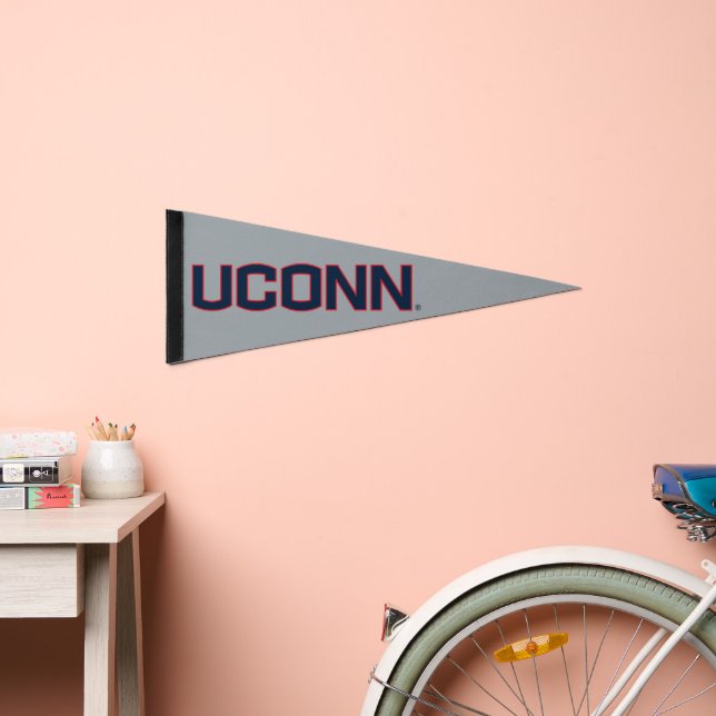 University of Connecticut | UCONN Pennant Flag (Front)