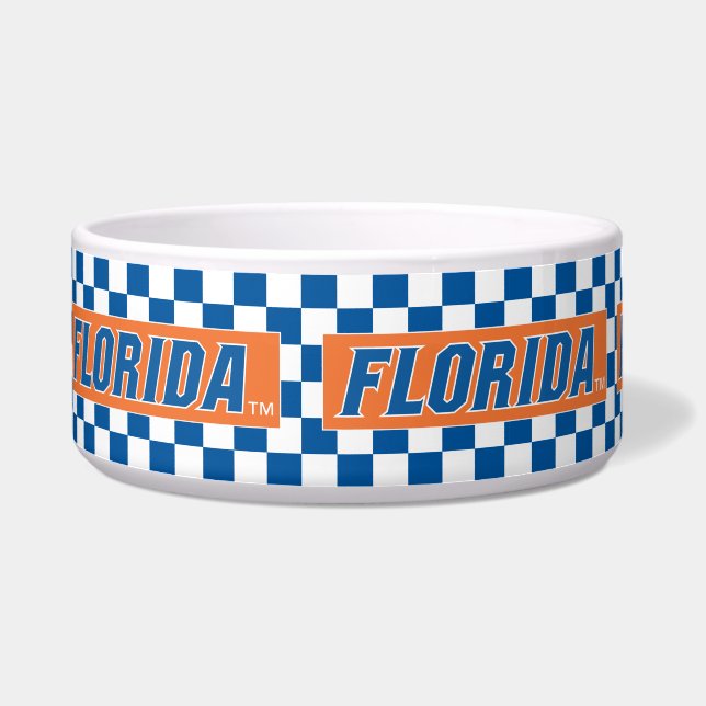 University of Florida Gators Bowl (Left)