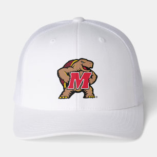 University of Maryland Terrapin Mascot Logo