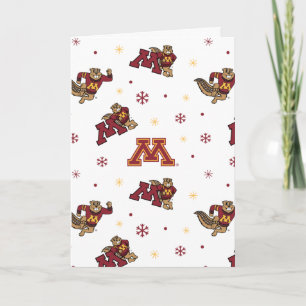 University of Minnesota Holiday Pattern